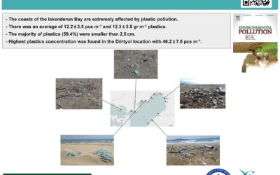 Mediterranean dirty edge: High level of meso and macroplastics pollution on the Turkish coast