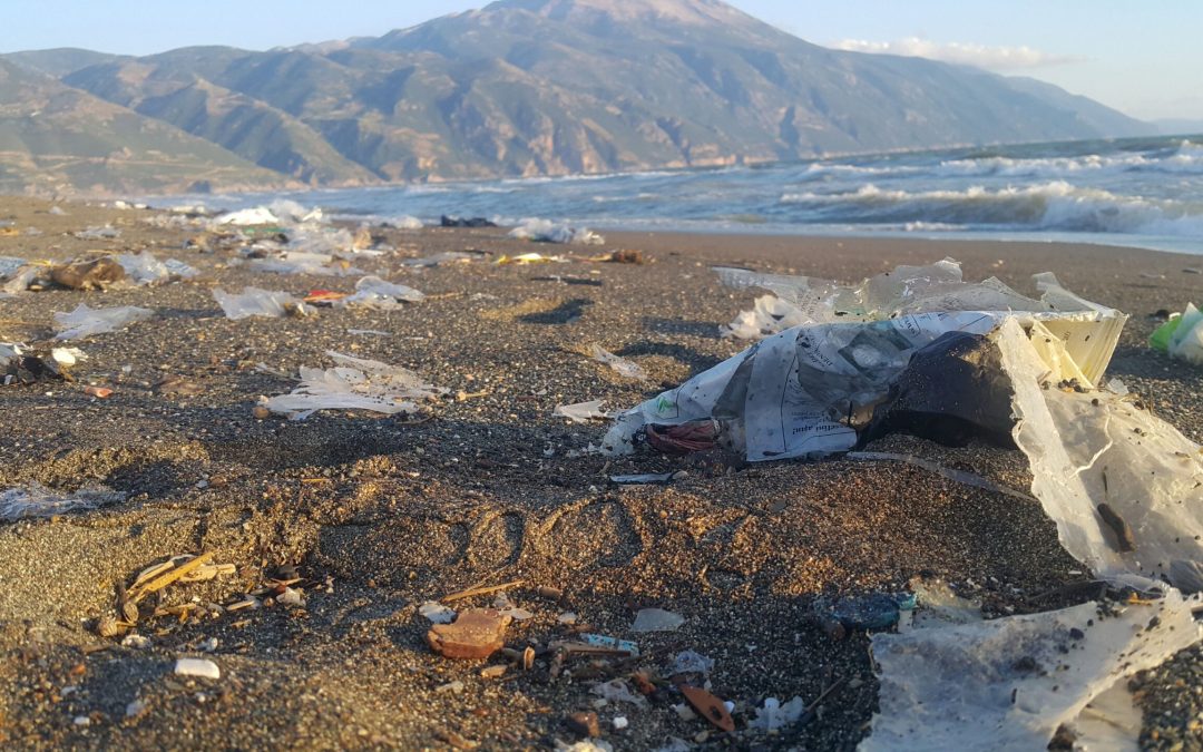 New article: Why Turkey should not import plastic waste pollution from developed countries?